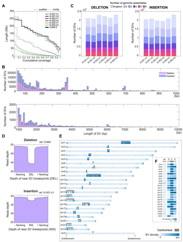 https://cdn.ncbi.nlm.nih.gov/pmc/blobs/0215/11707537/486e1bd2723f/gkae1294fig1.jpg