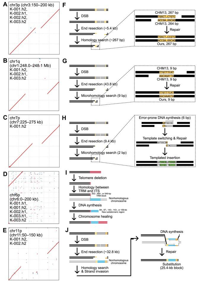 https://cdn.ncbi.nlm.nih.gov/pmc/blobs/0215/11707537/6bd1c62fd691/gkae1294fig4.jpg