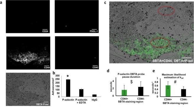 https://cdn.ncbi.nlm.nih.gov/pmc/blobs/0215/6560120/4f55c2c2d0c1/41598_2019_44838_Fig5_HTML.jpg