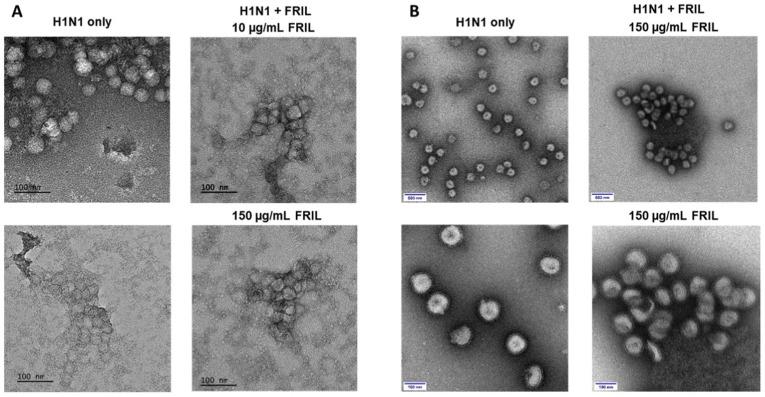 https://cdn.ncbi.nlm.nih.gov/pmc/blobs/021b/9290430/2281eb67ec09/gr6_lrg.jpg