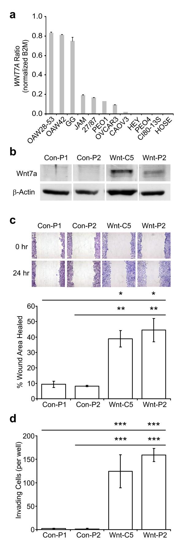 https://cdn.ncbi.nlm.nih.gov/pmc/blobs/0220/2770078/832418d10394/1471-2407-9-378-3.jpg