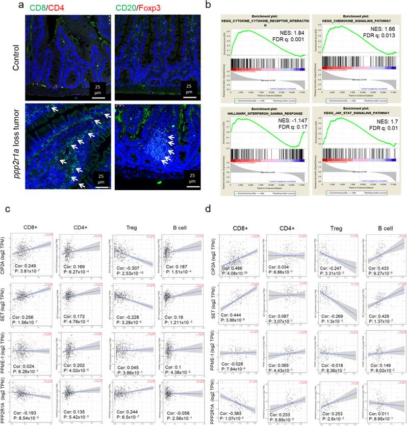 https://cdn.ncbi.nlm.nih.gov/pmc/blobs/0221/8674339/513e0f760ad5/41467_2021_27620_Fig1_HTML.jpg