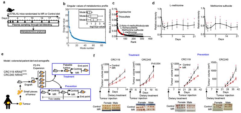 https://cdn.ncbi.nlm.nih.gov/pmc/blobs/0222/6951023/0ac535ad579d/nihms-1532980-f0001.jpg
