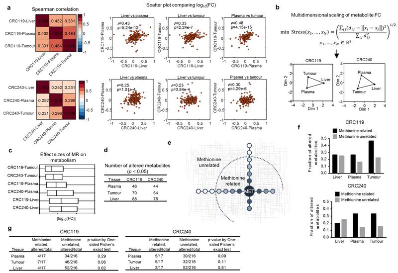 https://cdn.ncbi.nlm.nih.gov/pmc/blobs/0222/6951023/2073e46cb1e6/nihms-1532980-f0007.jpg