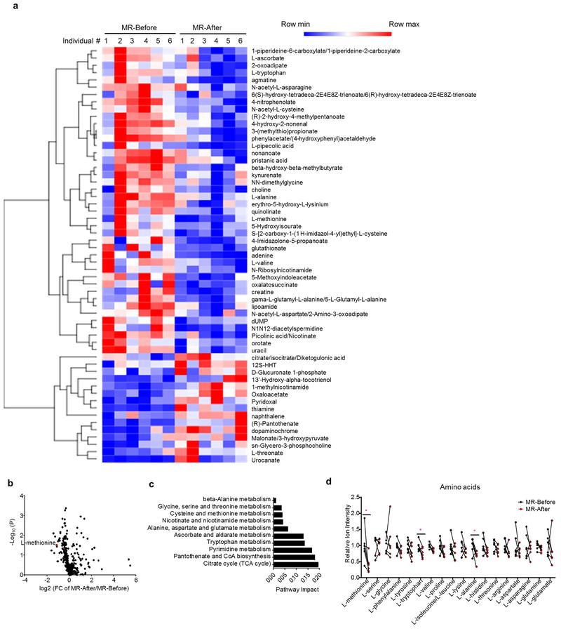 https://cdn.ncbi.nlm.nih.gov/pmc/blobs/0222/6951023/26973096c69b/nihms-1532980-f0012.jpg