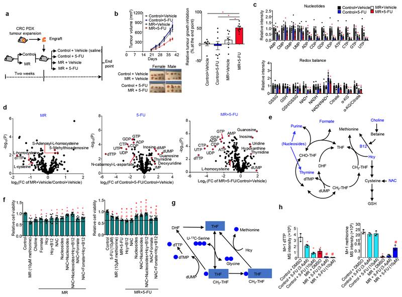 https://cdn.ncbi.nlm.nih.gov/pmc/blobs/0222/6951023/d356e38ff7e7/nihms-1532980-f0002.jpg