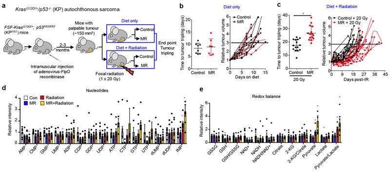 https://cdn.ncbi.nlm.nih.gov/pmc/blobs/0222/6951023/e3bbd058e62a/nihms-1532980-f0003.jpg