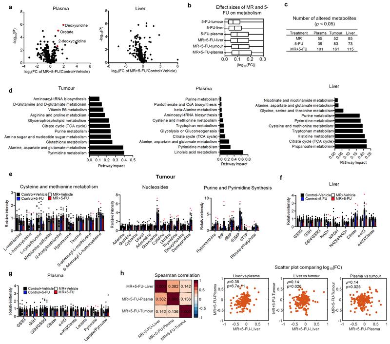 https://cdn.ncbi.nlm.nih.gov/pmc/blobs/0222/6951023/f782980cb886/nihms-1532980-f0009.jpg