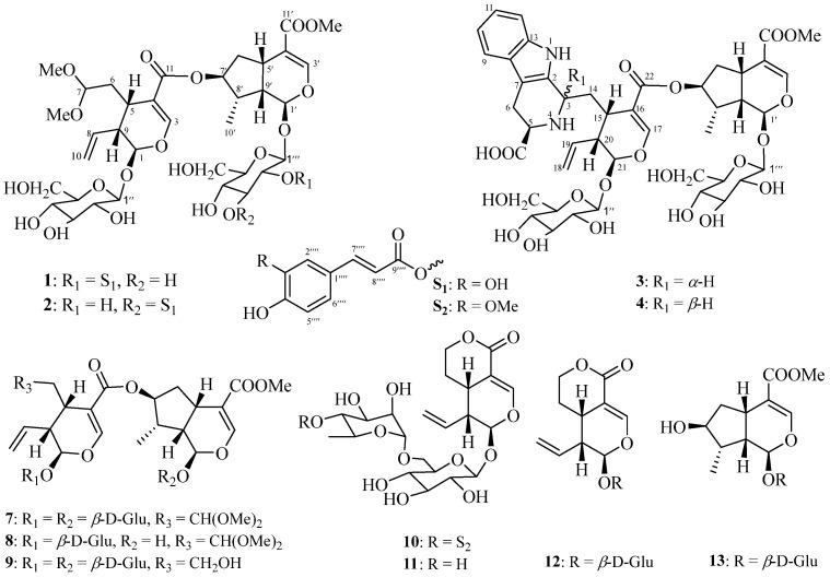 https://cdn.ncbi.nlm.nih.gov/pmc/blobs/0224/11678491/2f6d7fc45285/molecules-29-05980-g001.jpg