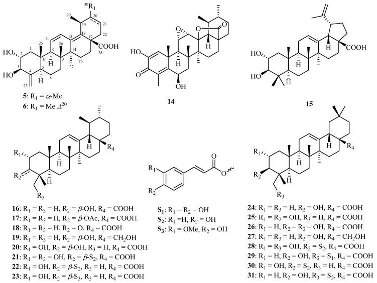 https://cdn.ncbi.nlm.nih.gov/pmc/blobs/0224/11678491/37cf117e7e91/molecules-29-05980-g002.jpg