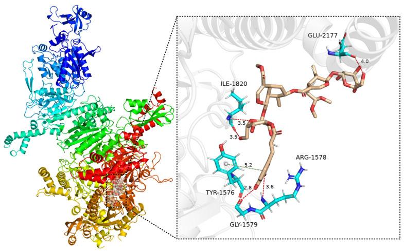 https://cdn.ncbi.nlm.nih.gov/pmc/blobs/0224/11678491/9064f9fe566c/molecules-29-05980-g006.jpg
