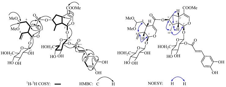 https://cdn.ncbi.nlm.nih.gov/pmc/blobs/0224/11678491/a0701c1221b7/molecules-29-05980-g003.jpg