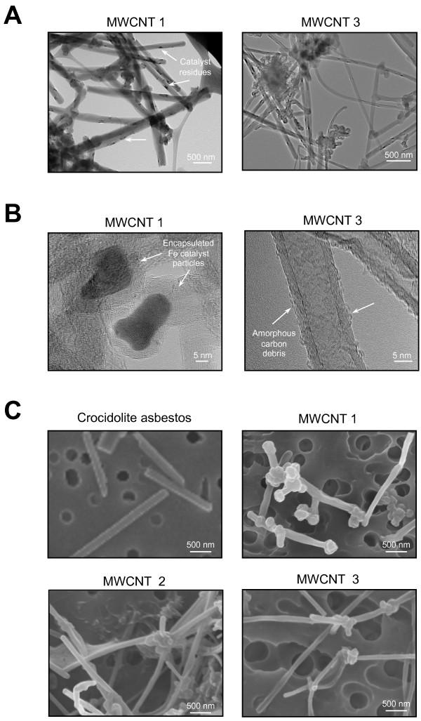 https://cdn.ncbi.nlm.nih.gov/pmc/blobs/0224/3120675/b55205ac529f/1743-8977-8-17-1.jpg
