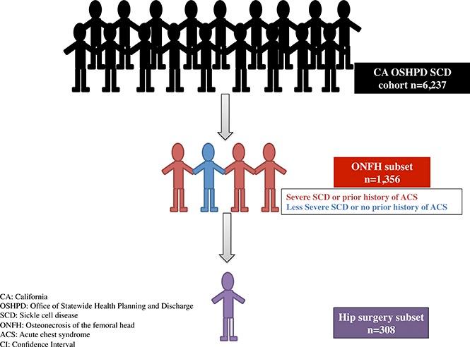 https://cdn.ncbi.nlm.nih.gov/pmc/blobs/0224/5728545/dddb01c0b091/advances005256absf1.jpg