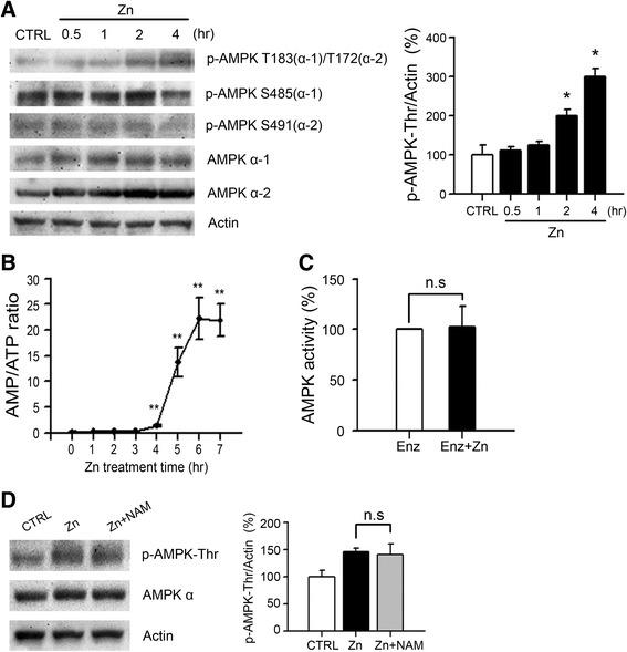 https://cdn.ncbi.nlm.nih.gov/pmc/blobs/022a/4746814/80d9223932a4/13041_2016_194_Fig2_HTML.jpg