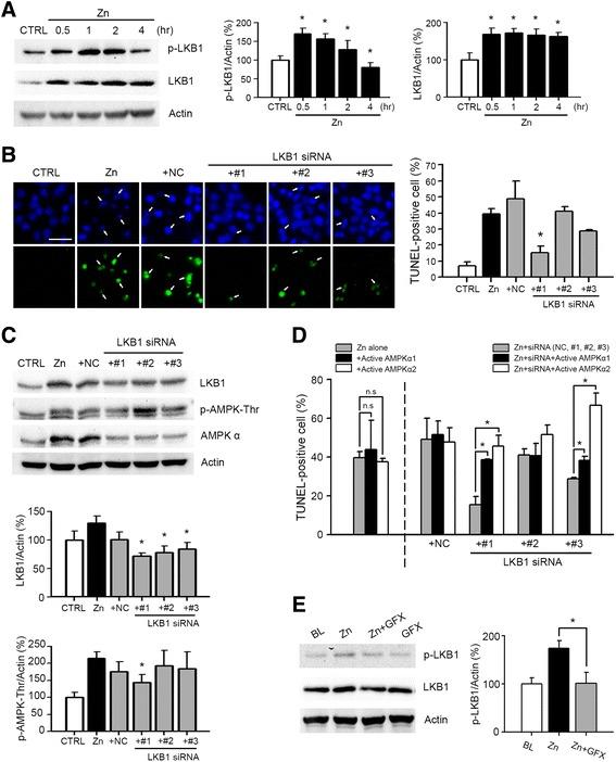 https://cdn.ncbi.nlm.nih.gov/pmc/blobs/022a/4746814/d709b414305e/13041_2016_194_Fig3_HTML.jpg