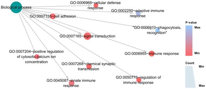 https://cdn.ncbi.nlm.nih.gov/pmc/blobs/022b/6471831/11c60a3d1ccc/MMR-19-05-4256-g07.jpg