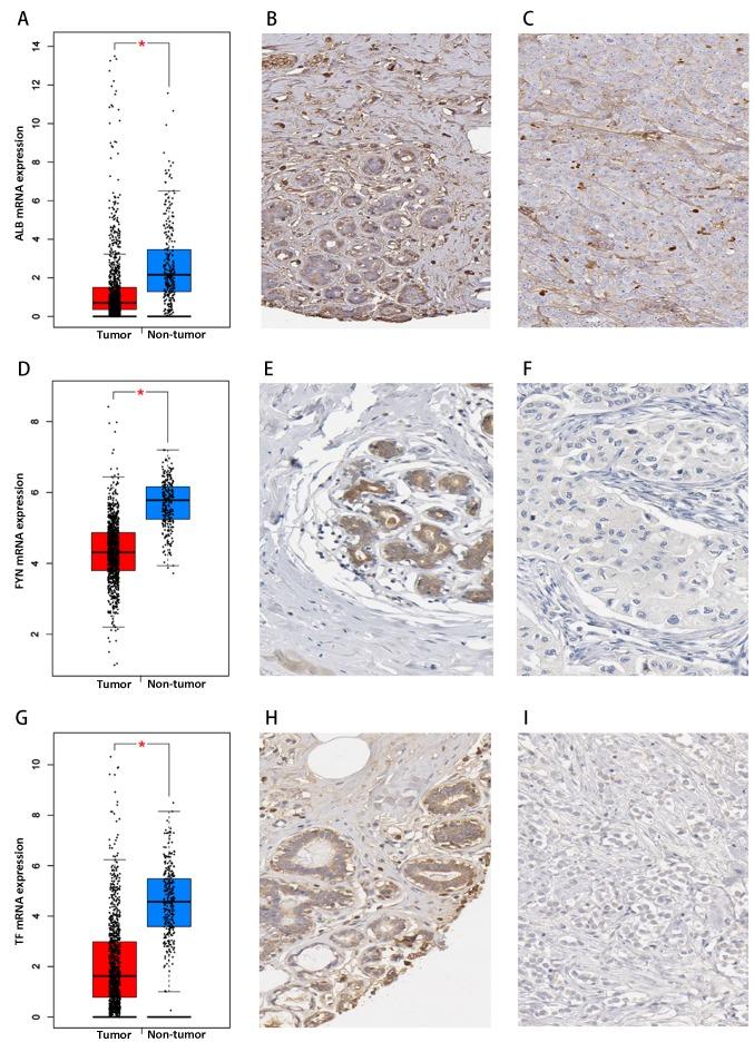 https://cdn.ncbi.nlm.nih.gov/pmc/blobs/022b/6471831/524662cecb48/MMR-19-05-4256-g05.jpg