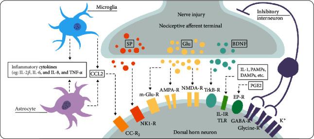 https://cdn.ncbi.nlm.nih.gov/pmc/blobs/022b/7785341/694a05aeb90d/SCI2020-8861251.002.jpg