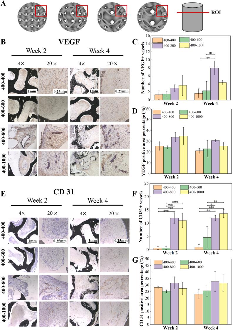 https://cdn.ncbi.nlm.nih.gov/pmc/blobs/022d/11681834/2d6d9aad5ad6/gr9.jpg