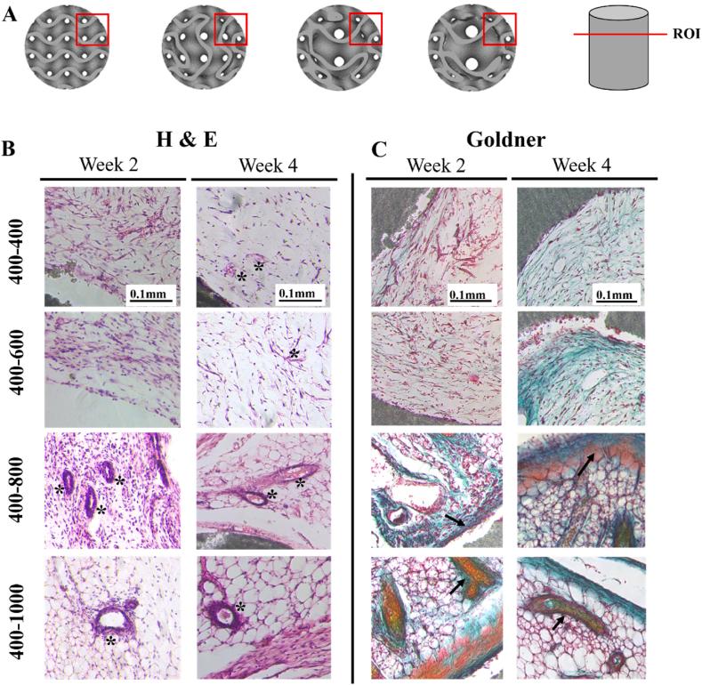 https://cdn.ncbi.nlm.nih.gov/pmc/blobs/022d/11681834/b96bddbd50e8/gr8.jpg