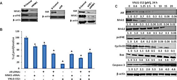 https://cdn.ncbi.nlm.nih.gov/pmc/blobs/022e/4413647/039278bc8ea6/oncotarget-06-3195-g006.jpg