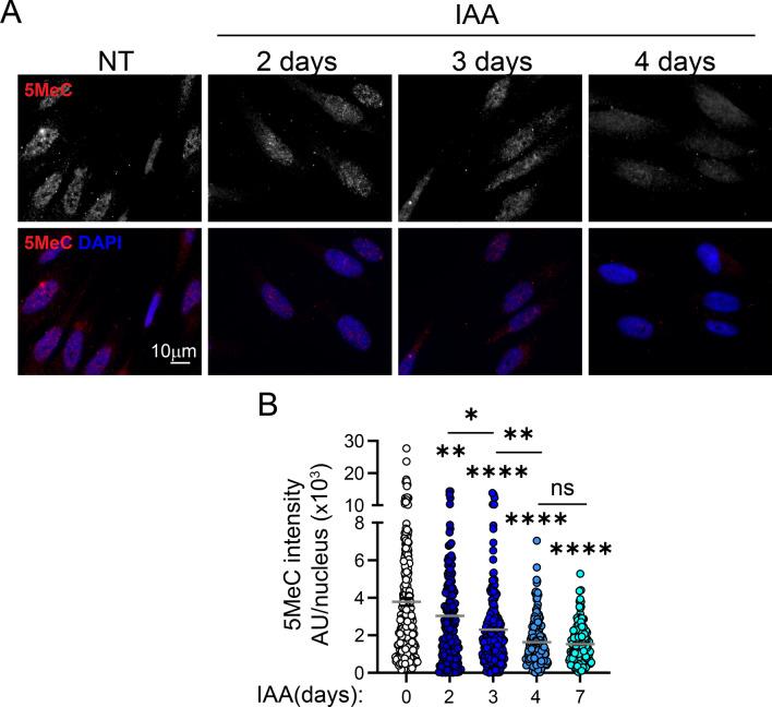 https://cdn.ncbi.nlm.nih.gov/pmc/blobs/022f/11655745/a95a6ea30b39/18_2024_5547_Fig4_HTML.jpg