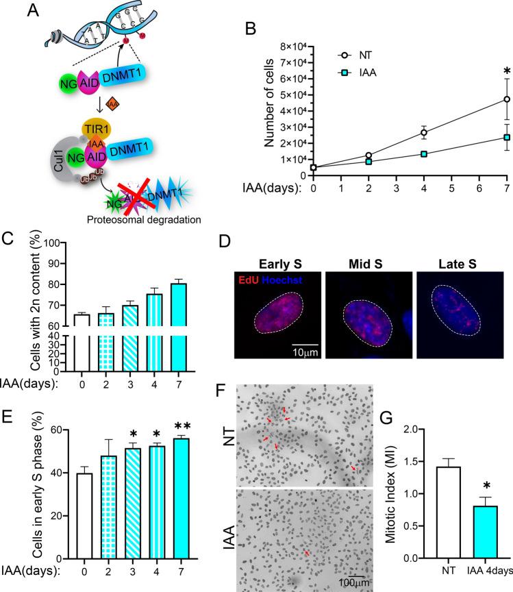 https://cdn.ncbi.nlm.nih.gov/pmc/blobs/022f/11655745/ee129d9e42d4/18_2024_5547_Fig1_HTML.jpg