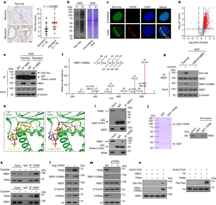 https://cdn.ncbi.nlm.nih.gov/pmc/blobs/0231/11254748/05878a8d4cc2/41586_2024_7620_Fig2_HTML.jpg