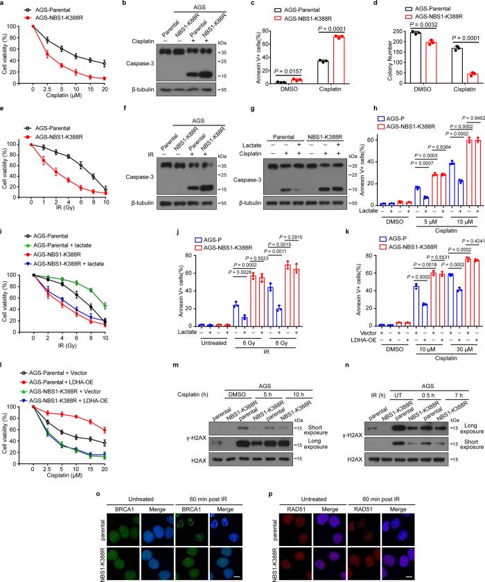 https://cdn.ncbi.nlm.nih.gov/pmc/blobs/0231/11254748/10e10d0d5b79/41586_2024_7620_Fig10_ESM.jpg