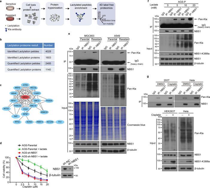 https://cdn.ncbi.nlm.nih.gov/pmc/blobs/0231/11254748/1b5ed7dc2708/41586_2024_7620_Fig8_ESM.jpg
