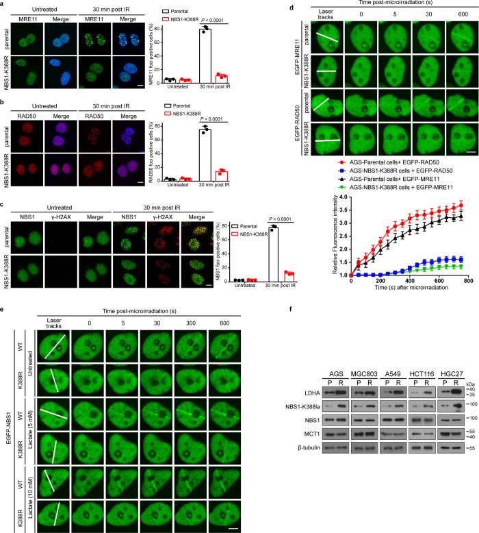 https://cdn.ncbi.nlm.nih.gov/pmc/blobs/0231/11254748/5f762550f0ce/41586_2024_7620_Fig12_ESM.jpg