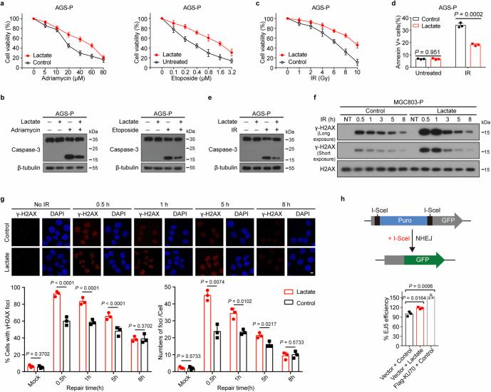 https://cdn.ncbi.nlm.nih.gov/pmc/blobs/0231/11254748/6f7a3f41851e/41586_2024_7620_Fig7_ESM.jpg