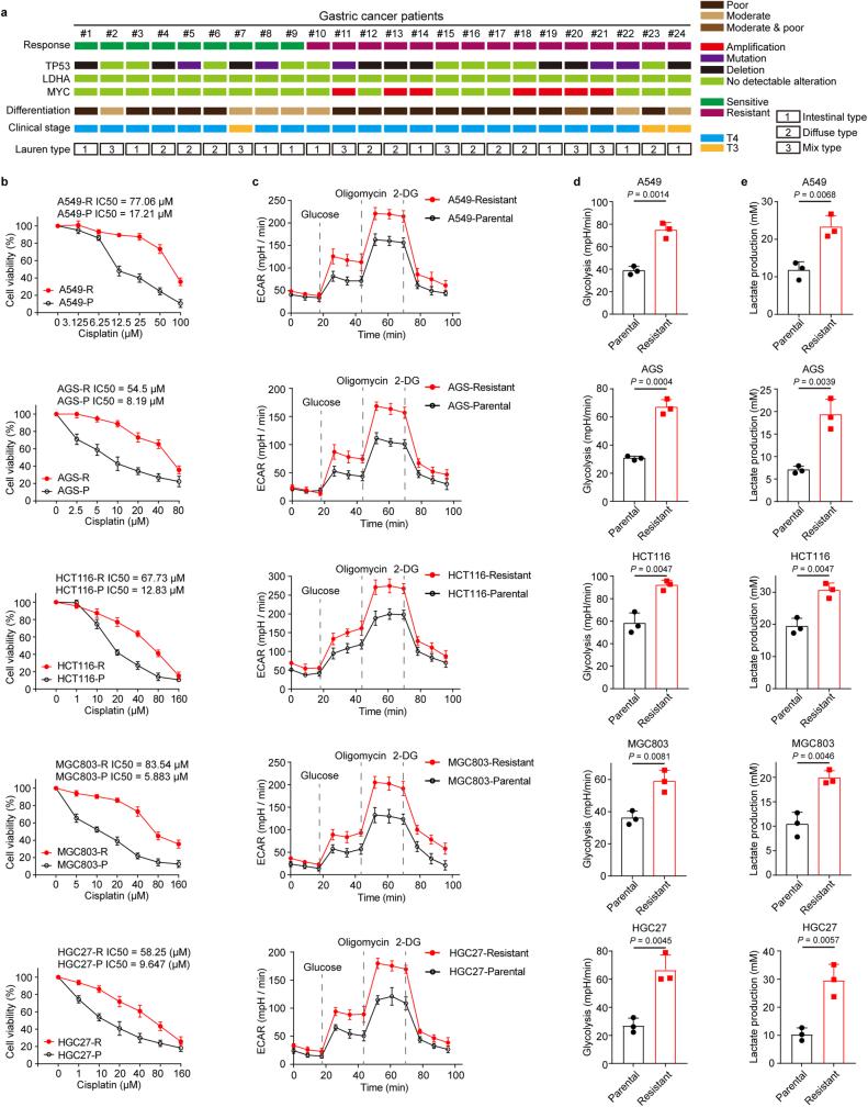 https://cdn.ncbi.nlm.nih.gov/pmc/blobs/0231/11254748/7053dc65fd9e/41586_2024_7620_Fig5_ESM.jpg