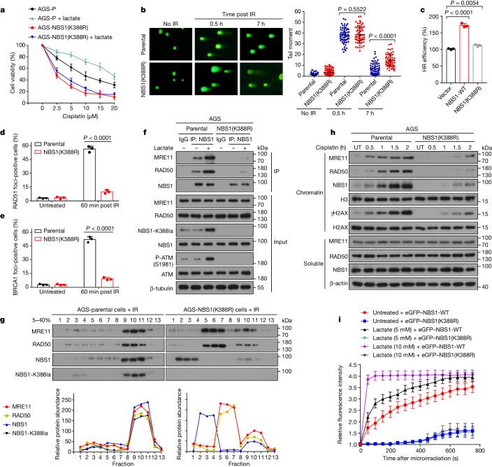 https://cdn.ncbi.nlm.nih.gov/pmc/blobs/0231/11254748/89739073a985/41586_2024_7620_Fig3_HTML.jpg