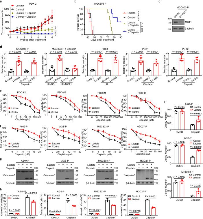 https://cdn.ncbi.nlm.nih.gov/pmc/blobs/0231/11254748/9243d9408ce2/41586_2024_7620_Fig6_ESM.jpg