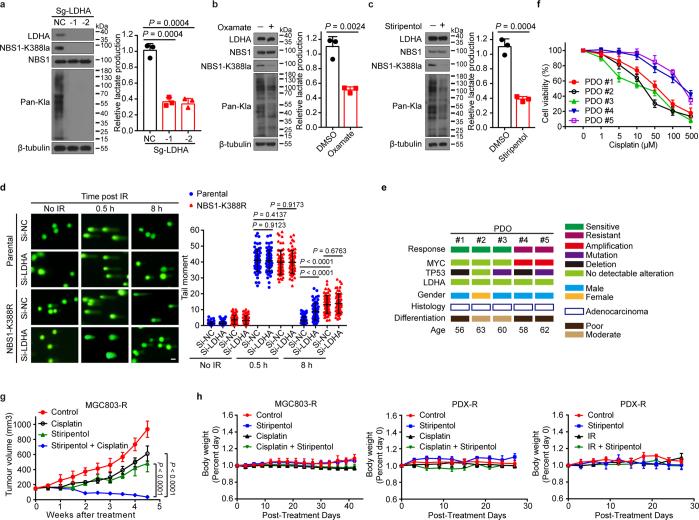https://cdn.ncbi.nlm.nih.gov/pmc/blobs/0231/11254748/a6160e78bb9a/41586_2024_7620_Fig13_ESM.jpg