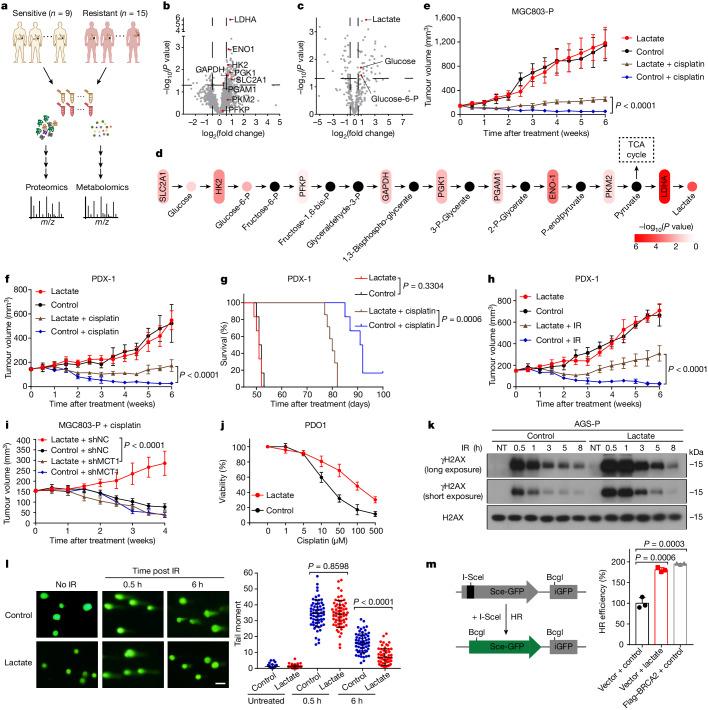 https://cdn.ncbi.nlm.nih.gov/pmc/blobs/0231/11254748/b1ff4c048c3b/41586_2024_7620_Fig1_HTML.jpg