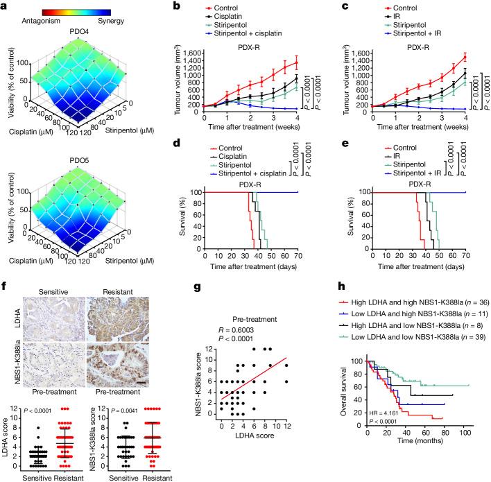 https://cdn.ncbi.nlm.nih.gov/pmc/blobs/0231/11254748/de672e961a66/41586_2024_7620_Fig4_HTML.jpg