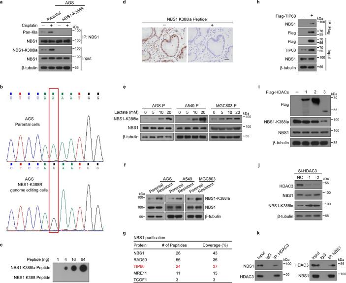 https://cdn.ncbi.nlm.nih.gov/pmc/blobs/0231/11254748/fcb2283cd36b/41586_2024_7620_Fig9_ESM.jpg