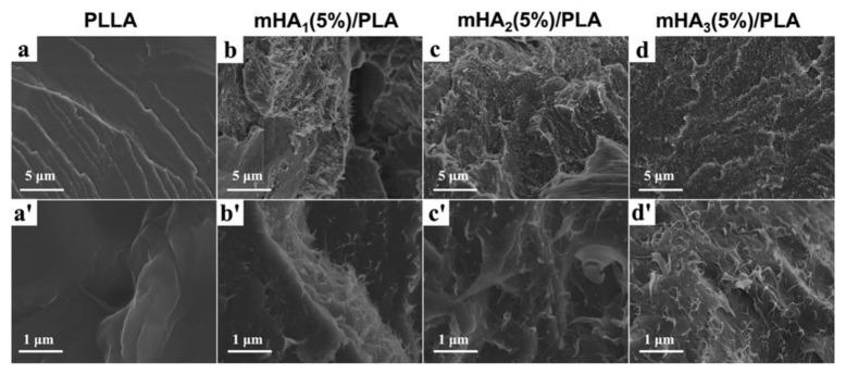 https://cdn.ncbi.nlm.nih.gov/pmc/blobs/0232/8915188/4e0c4c336bcf/polymers-14-00645-g004.jpg