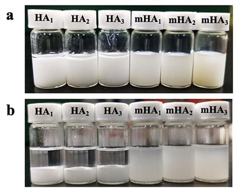 https://cdn.ncbi.nlm.nih.gov/pmc/blobs/0232/8915188/852692a78abf/polymers-14-00645-g002.jpg