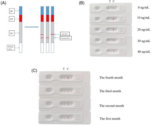 https://cdn.ncbi.nlm.nih.gov/pmc/blobs/0233/10560972/b46cec7e6500/JCH-25-932-g004.jpg