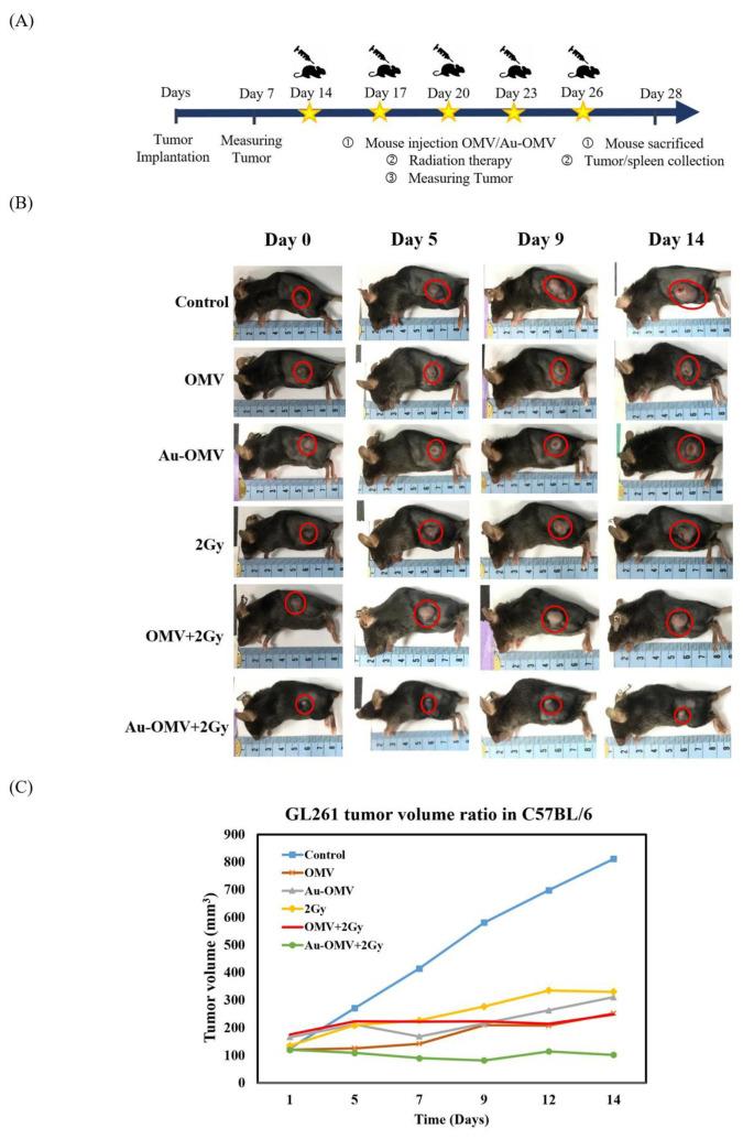 https://cdn.ncbi.nlm.nih.gov/pmc/blobs/0233/8306693/2a5b81fa336c/nanomaterials-11-01661-g008.jpg