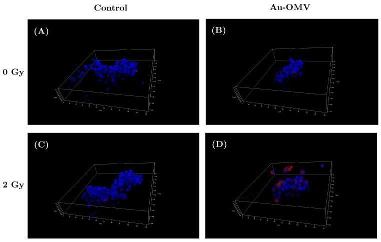 https://cdn.ncbi.nlm.nih.gov/pmc/blobs/0233/8306693/74b7aa900f8c/nanomaterials-11-01661-g006.jpg