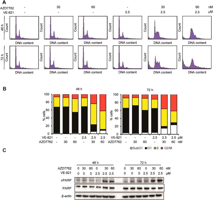 https://cdn.ncbi.nlm.nih.gov/pmc/blobs/0237/5638787/4a63ffd6854d/figs6c.jpg