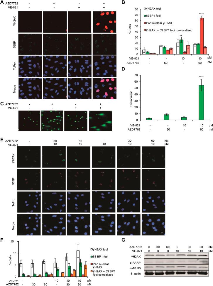 https://cdn.ncbi.nlm.nih.gov/pmc/blobs/0237/5638787/881a08c1efd4/figs2c.jpg