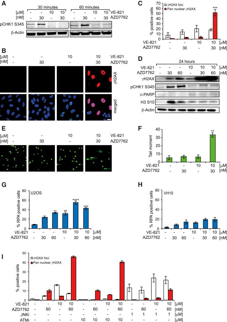 https://cdn.ncbi.nlm.nih.gov/pmc/blobs/0237/5638787/c41d11b2bc72/gr1o.jpg