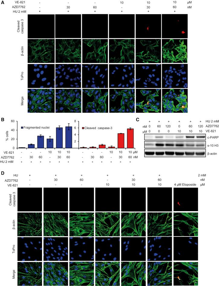 https://cdn.ncbi.nlm.nih.gov/pmc/blobs/0237/5638787/e66a8273d5f6/gr6o.jpg