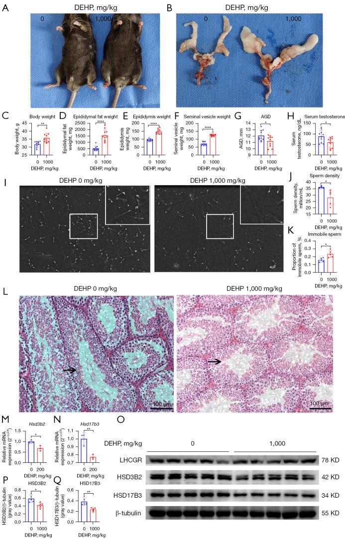 https://cdn.ncbi.nlm.nih.gov/pmc/blobs/0239/10999017/0def5ed480b1/tau-13-03-369-f4.jpg